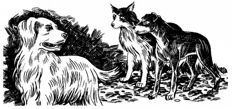 Иллюстрация к книге — Красная луна [i_018.jpg]