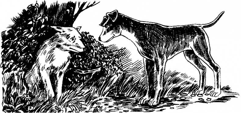 Иллюстрация к книге — Красная луна [i_020.jpg]