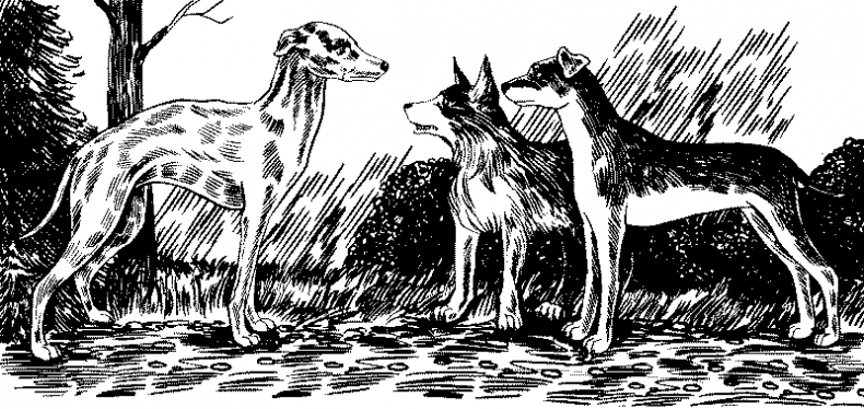 Иллюстрация к книге — Красная луна [i_021.jpg]