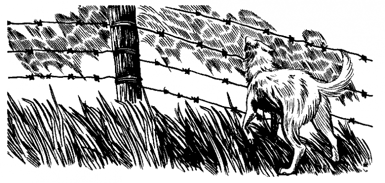 Иллюстрация к книге — Красная луна [i_025.jpg]