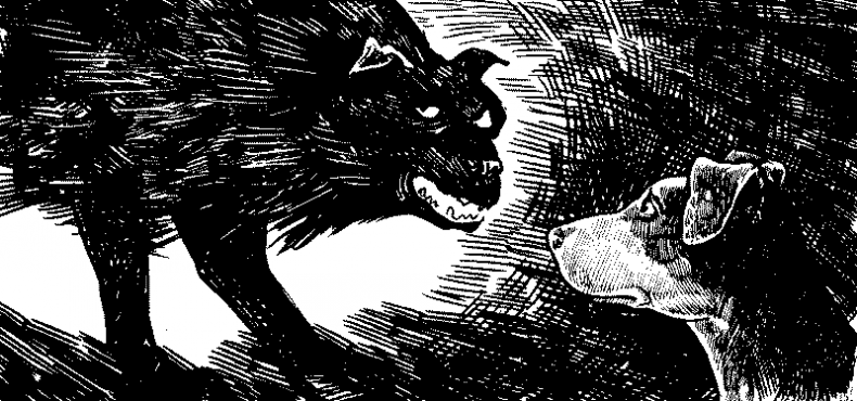 Иллюстрация к книге — Красная луна [i_026.jpg]