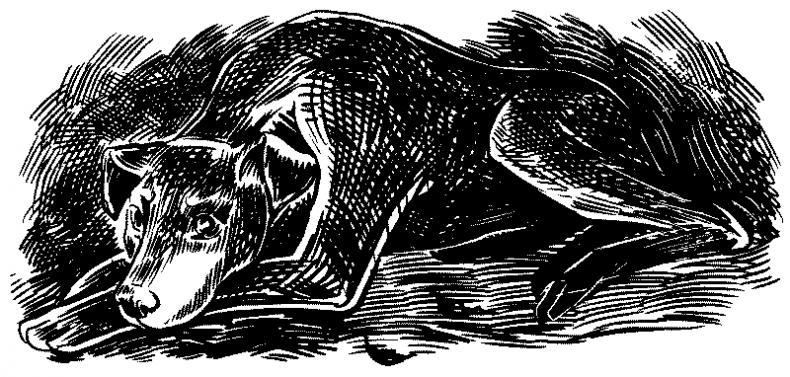 Иллюстрация к книге — Красная луна [i_027.jpg]