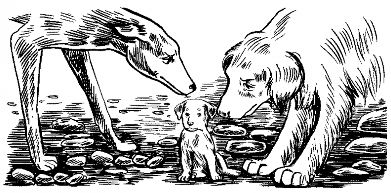 Иллюстрация к книге — Красная луна [i_029.jpg]