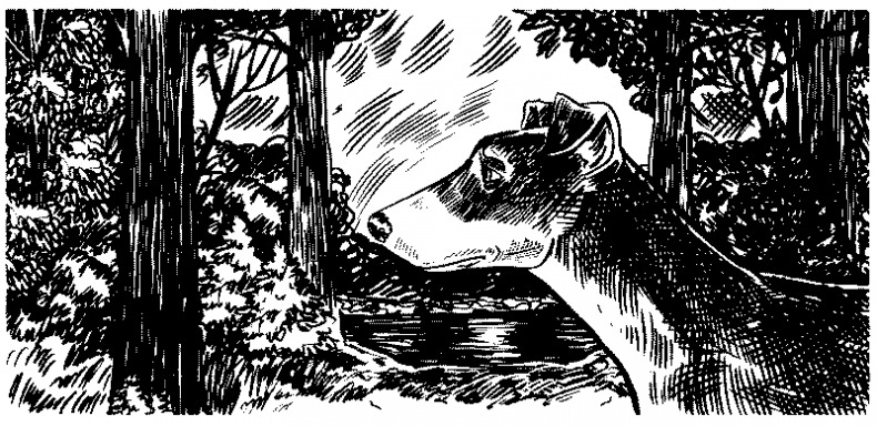 Иллюстрация к книге — Красная луна [i_030.jpg]