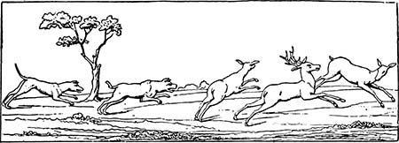 Иллюстрация к книге — Латынь по-пацански. Прохладные римские истории [i_143.jpg]