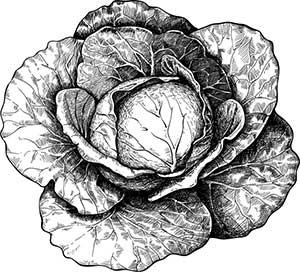 Иллюстрация к книге — Латынь по-пацански. Прохладные римские истории [i_160.jpg]