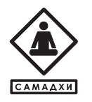 Иллюстрация к книге — Вести от обезьяны. О медитации и о том, что хочет донести до вас суетливый обезьяний ум [i_001.jpg]