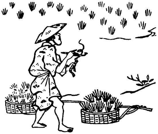 Иллюстрация к книге — Книга японских символов. Книга японских обыкновений [i_054.jpg]