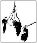 Иллюстрация к книге — Книга японских символов. Книга японских обыкновений [i_157.jpg]