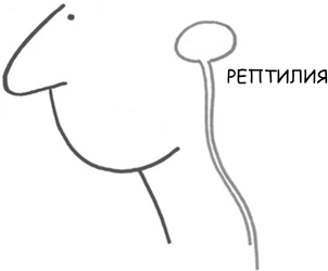 Иллюстрация к книге — Маленькие ритуалы для больших достижений. 4 простые привычки, которые сделают вас счастливым и эффективным [i_002.jpg]