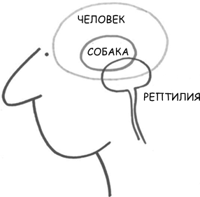 Иллюстрация к книге — Маленькие ритуалы для больших достижений. 4 простые привычки, которые сделают вас счастливым и эффективным [i_007.jpg]