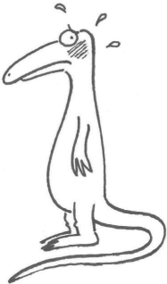 Иллюстрация к книге — Маленькие ритуалы для больших достижений. 4 простые привычки, которые сделают вас счастливым и эффективным [i_009.jpg]