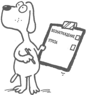 Иллюстрация к книге — Маленькие ритуалы для больших достижений. 4 простые привычки, которые сделают вас счастливым и эффективным [i_010.jpg]