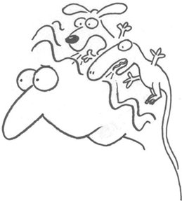 Иллюстрация к книге — Маленькие ритуалы для больших достижений. 4 простые привычки, которые сделают вас счастливым и эффективным [i_011.jpg]