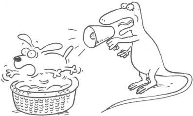 Иллюстрация к книге — Маленькие ритуалы для больших достижений. 4 простые привычки, которые сделают вас счастливым и эффективным [i_031.jpg]