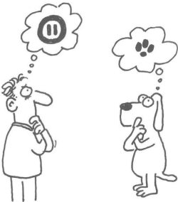 Иллюстрация к книге — Маленькие ритуалы для больших достижений. 4 простые привычки, которые сделают вас счастливым и эффективным [i_034.jpg]