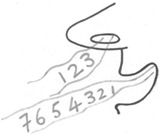 Иллюстрация к книге — Маленькие ритуалы для больших достижений. 4 простые привычки, которые сделают вас счастливым и эффективным [i_039.jpg]