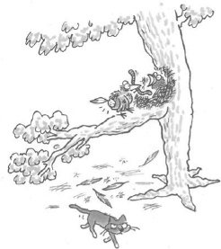 Иллюстрация к книге — Маленькие ритуалы для больших достижений. 4 простые привычки, которые сделают вас счастливым и эффективным [i_086.jpg]