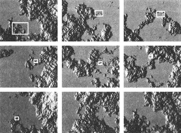 Иллюстрация к книге — Хаос. Создание новой науки [i_013.jpg]