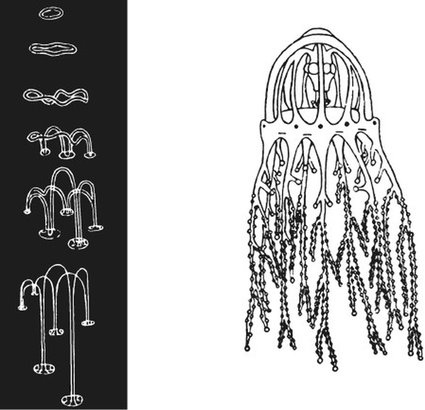 Иллюстрация к книге — Хаос. Создание новой науки [i_026.jpg]