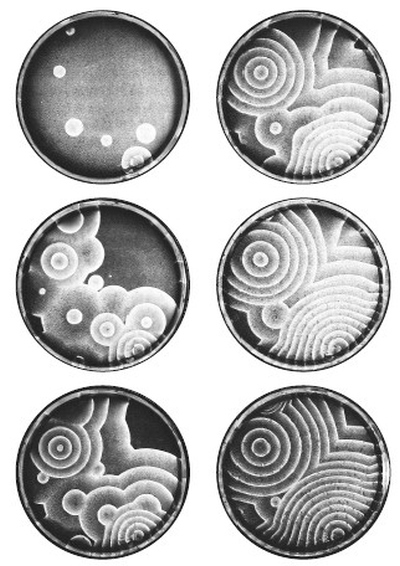 Иллюстрация к книге — Хаос. Создание новой науки [i_041.jpg]