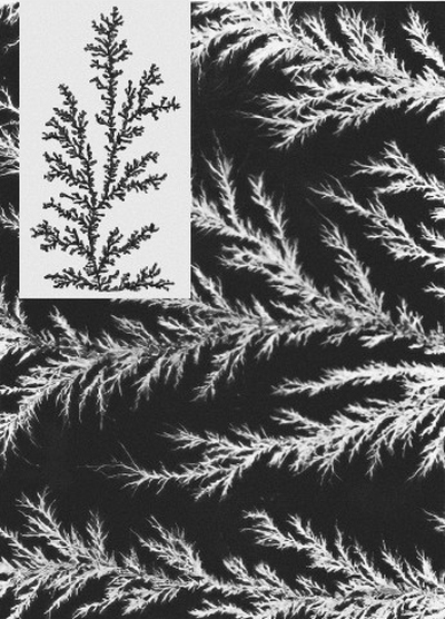 Иллюстрация к книге — Хаос. Создание новой науки [i_044.jpg]