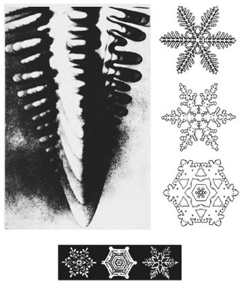 Иллюстрация к книге — Хаос. Создание новой науки [i_045.jpg]