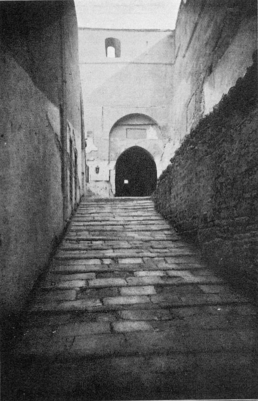 Иллюстрация к книге — Саладин. Всемогущий султан и победитель крестоносцев [i_029.jpg]