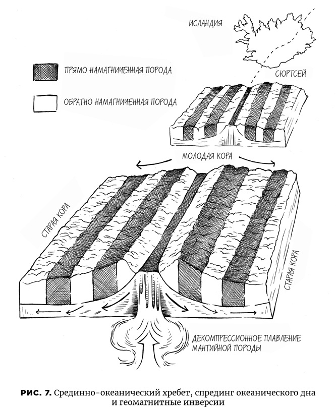 Иллюстрация к книге — Осознание времени. Прошлое и будущее Земли глазами геолога [i_011.jpg]