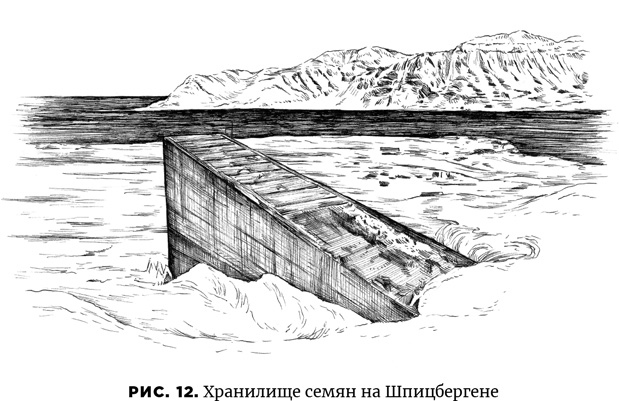 Иллюстрация к книге — Осознание времени. Прошлое и будущее Земли глазами геолога [i_018.jpg]
