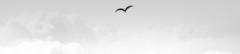 Иллюстрация к книге — Что скрывает прилив [i_018.jpg]