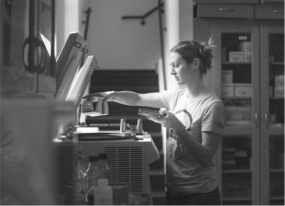 Иллюстрация к книге — Не один дома. Естественная история нашего жилища от бактерий до многоножек, тараканов и пауков [i_005.jpg]