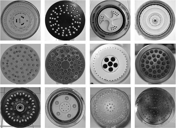 Иллюстрация к книге — Не один дома. Естественная история нашего жилища от бактерий до многоножек, тараканов и пауков [i_010.jpg]