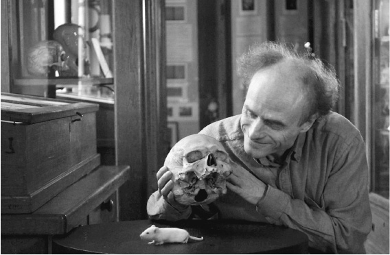 Иллюстрация к книге — Не один дома. Естественная история нашего жилища от бактерий до многоножек, тараканов и пауков [i_022.jpg]