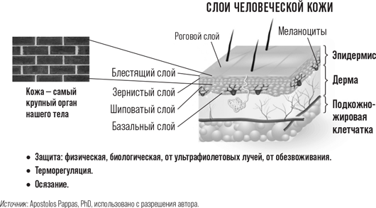 Иллюстрация к книге — Бьюти-минимализм. Чем опасен гиперуход за кожей и что делать, чтобы не навредить себе [i_001.jpg]