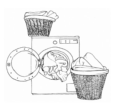 Иллюстрация к книге — ЭкоДом. Уборка без химии, порядок без труда. ЭКОномно ЭКОлогично [i_036.jpg]