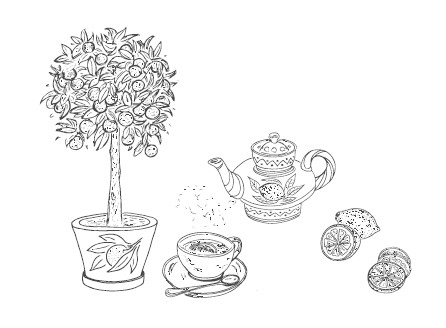 Иллюстрация к книге — ЭкоДом. Уборка без химии, порядок без труда. ЭКОномно ЭКОлогично [i_065.jpg]