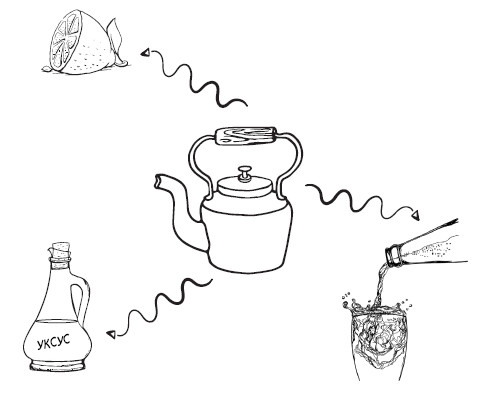 Иллюстрация к книге — ЭкоДом. Уборка без химии, порядок без труда. ЭКОномно ЭКОлогично [i_072.jpg]