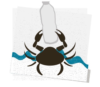 Иллюстрация к книге — Ты можешь изменить мир. Как 57 подростков боролись за свои идеалы – и победили [i_010.jpg]