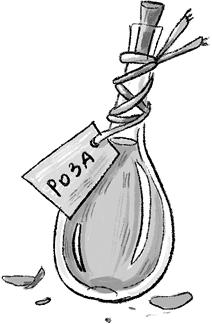 Иллюстрация к книге — Новая кондитерская Синьорины Корицы [i_027.jpg]