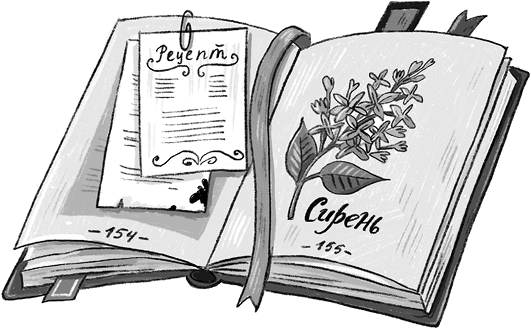 Иллюстрация к книге — Новая кондитерская Синьорины Корицы [i_028.jpg]