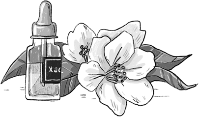 Иллюстрация к книге — Новая кондитерская Синьорины Корицы [i_035.jpg]