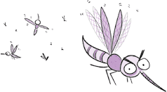 Иллюстрация к книге — Загадка Тигриного острова [i_040.jpg]