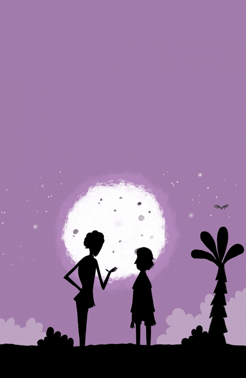 Иллюстрация к книге — Загадка Тигриного острова [i_053.jpg]