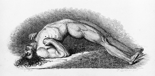 Иллюстрация к книге — Чисто британское убийство. Удивительная история национальной одержимости [img_12.jpg]