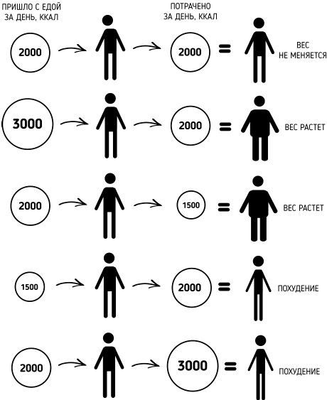 Иллюстрация к книге — Правильное питание как минное поле [img_5.jpg]