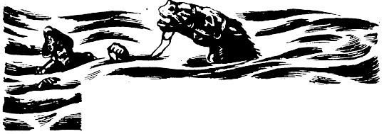 Иллюстрация к книге — Кораблекрушения [i_009.jpg]