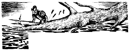 Иллюстрация к книге — Кораблекрушения [i_011.jpg]