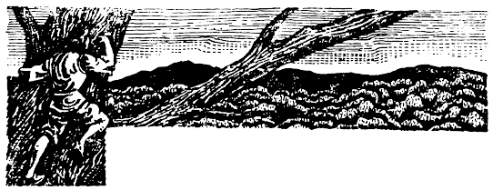 Иллюстрация к книге — Кораблекрушения [i_015.jpg]