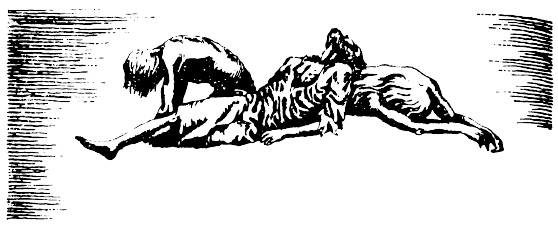 Иллюстрация к книге — Кораблекрушения [i_017.jpg]